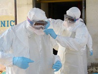 Ebola “ẩn nấp” trong động vật hoang dã?