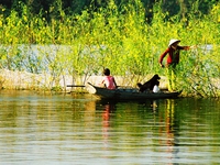 Phận đời trong mùa bông điên điển