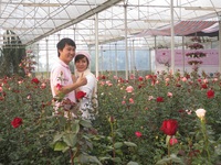 Khi du lịch gắn với công nghệ cao
