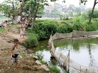 Nhà trẻ sơ sẩy, trẻ rơi xuống hồ, hôn mê sâu