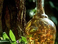 An toàn khi sử dụng rượu thuốc