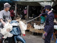 Ăn Tết nhưng không chủ quan với dịch bệnh