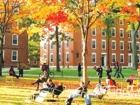 Ba tuần ghé thăm nước Mỹ