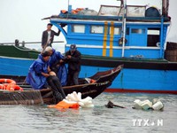 Chìm tàu đánh cá, 8 ngư dân được cứu thoát