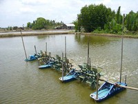 Chết đuối chỉ vì một…két bia