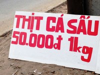 Tràn lan thịt cá sấu lề đường