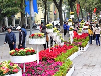 Thời tiết những ngày đầu xuân Ất Mùi ra sao?