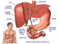 5000 xét nghiệm vi rút viêm gan C miễn phí cho bệnh nhân tại Hà Nội và tp.HCM