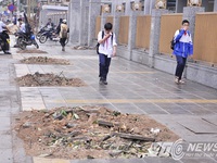 "Con đường đẹp nhất Việt Nam" nham nhở sau khi chặt hạ nhiều cây xanh