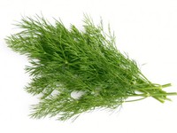 Cây gia vị tăng ham muốn, chữa mất ngủ