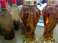 Ngâm rượu thuốc đúng cách để không biến thành rượu độc