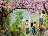 Mùa xuân về thăm bản Lác