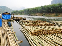 Hiểm nguy nghề đẩy bè luồng trên sông Mã