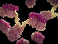 5 vấn đề cấp bách trong kỷ nguyên hậu kháng sinh