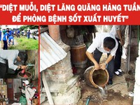 12.500 người tử vong vì sốt xuất huyết mỗi năm