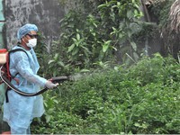 Khống chế được ổ dịch nhưng không chủ quan