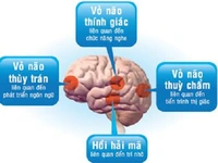 Rối loạn ngôn ngữ do tổn thương não