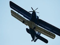 Rơi máy bay vận tải An-2, phi công thiệt mạng
