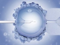 Tiêm tinh trùng vào bào tương noãn: Kỹ thuật chữa vô sinh an toàn