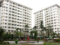Rà soát và xử lý nghiêm