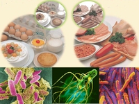 Ngộ độc thực phẩm - làm sao tránh?