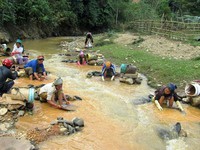 Nhuốm màu tang tóc vì cơn lốc khai thác vàng