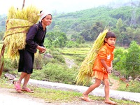 Những phụ nữ không biết ngày 8/3 
