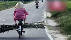 Hú hồn cảnh người phụ nữ ung dung chở mía chắn ngang đường, mặc cho ô tô bấm còi