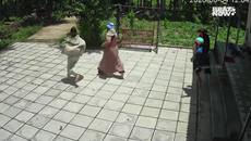 Mẹ con hoảng hốt bỏ chạy khi vừa vào nhà, nguyên nhân khiến ai cũng bật cười