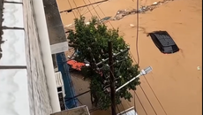 Bão Saudel 'hồi sinh' gây mưa lũ cuồn cuộn tại Trung Quốc