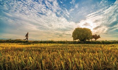 Thư Sài Gòn (số 37): Sài Gòn đến lúc phố thưa lại đầy...