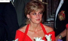 13 câu hỏi ám ảnh công chúng về cái chết của Công nương Diana