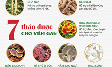 Những bệnh lý gan nào biểu hiện trên chỉ số men gan cao?