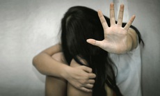 Công bố Sổ tay về các tội liên quan đến bạo lực trên cơ sở giới đối với phụ nữ và trẻ em gái