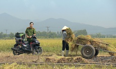 Phim về nông thôn có thành 'bom tấn' truyền hình được không?