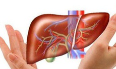 Những vị thuốc lợi mật, cải thiện chức năng gan