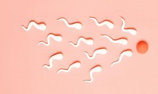 Sau mắc COVID-19, khả năng sinh sản của nam giới bị ảnh hưởng trong bao lâu?