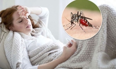 Các bài thuốc phòng và trị bệnh sốt rét