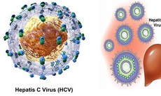 Viêm gan C nguy hiểm thế nào?