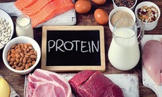 Hiểu về protein và tinh bột sử dụng đúng, hiệu quả