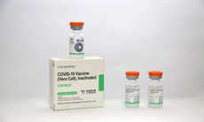Bộ Y tế: 1 triệu liều vaccine COVID-19 Vero Cell nhập về TP.HCM đủ điều kiện sử dụng

