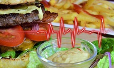 Ăn nhiều chất béo sẽ thúc đẩy sự phát triển vi khuẩn có hại trong ruột, tăng nguy cơ mắc bệnh tim