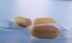 Hôm nay: Hơn 300.000 viên thuốc Molnupiravir điều trị F0 có kiểm soát tại nhà và cộng đồng về TP HCM 