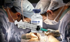 Bệnh nhân ghép tạng được bảo vệ tối đa khi tiêm vaccine COVID-19 