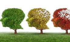 9 thói quen tốt giúp ngăn ngừa bệnh Alzheimer
