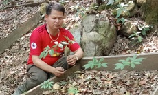 Bí thư chi bộ, trưởng thôn gương mẫu