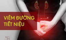 6 bài thuốc chữa viêm đường tiết niệu mạn tính