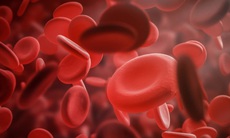 Điều trị bệnh máu khó đông Hemophilia A: Một kỷ nguyên mới đã mở ra