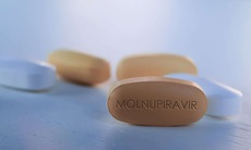 Bao nhiêu F0 ở Hà Nội được phát thuốc Molnupiravir?