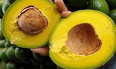 'Siêu thực phẩm' bán tràn chợ, có nơi chỉ 9.000 đồng/kg
